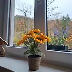 Am Nissberg Lägenhet