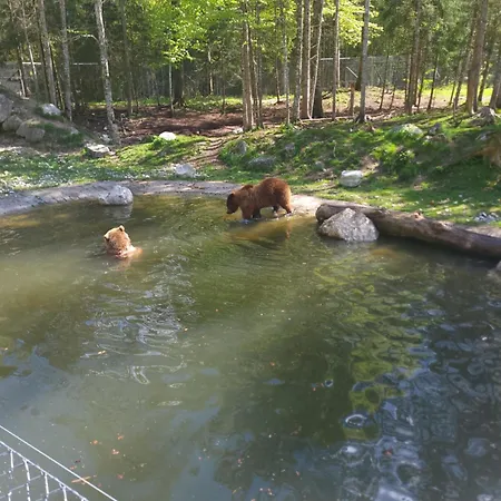 Apartamento Am Nissberg Grünau im Almtal
