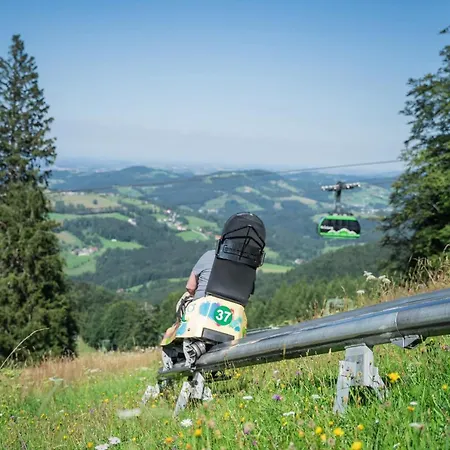 Apartment Am Nissberg Gruenau im Almtal