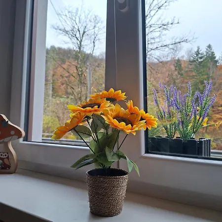 Am Nissberg Apartment