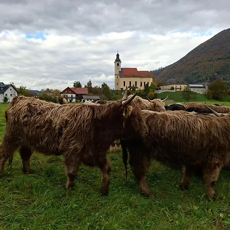 Am Nissberg Apartamento Grünau im Almtal