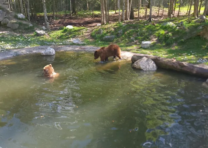 Apartment Am Nissberg Gruenau im Almtal
