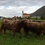 Am Nissberg 公寓 Grünau im Almtal