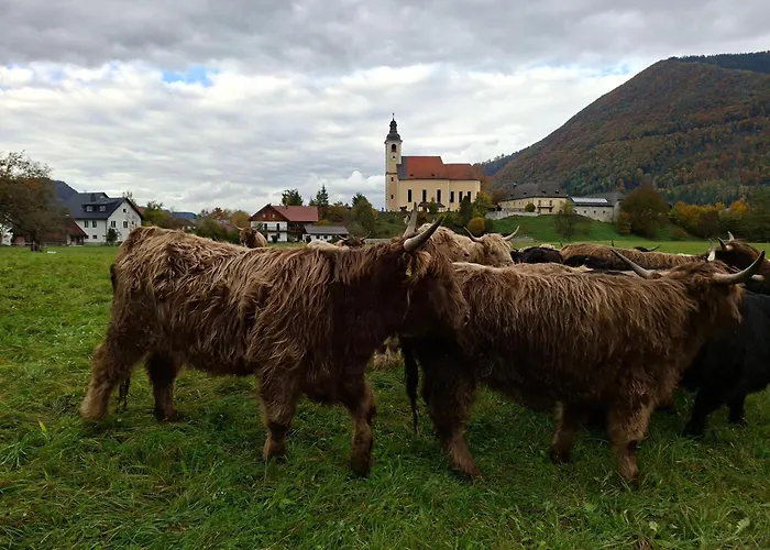 Am Nissberg Daire Grünau im Almtal